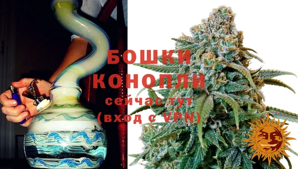 стафф Аркадак