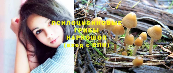 стафф Аркадак