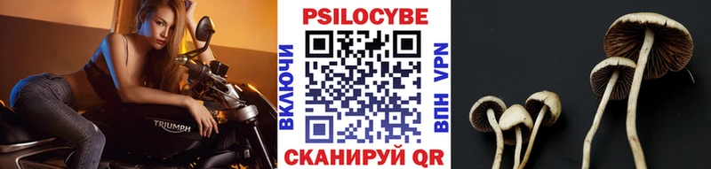ссылка на мегу зеркало  площадка наркотические препараты  Псилоцибиновые грибы Cubensis  Мценск 